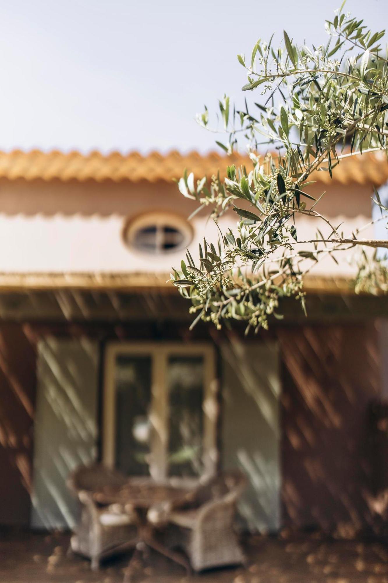 La Villa D'Andrea Ramatuelle Εξωτερικό φωτογραφία